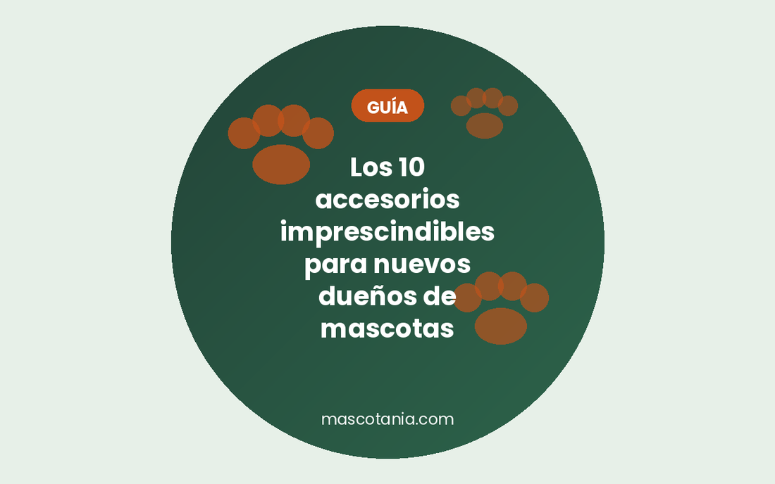 10 accesorios imprescindibles