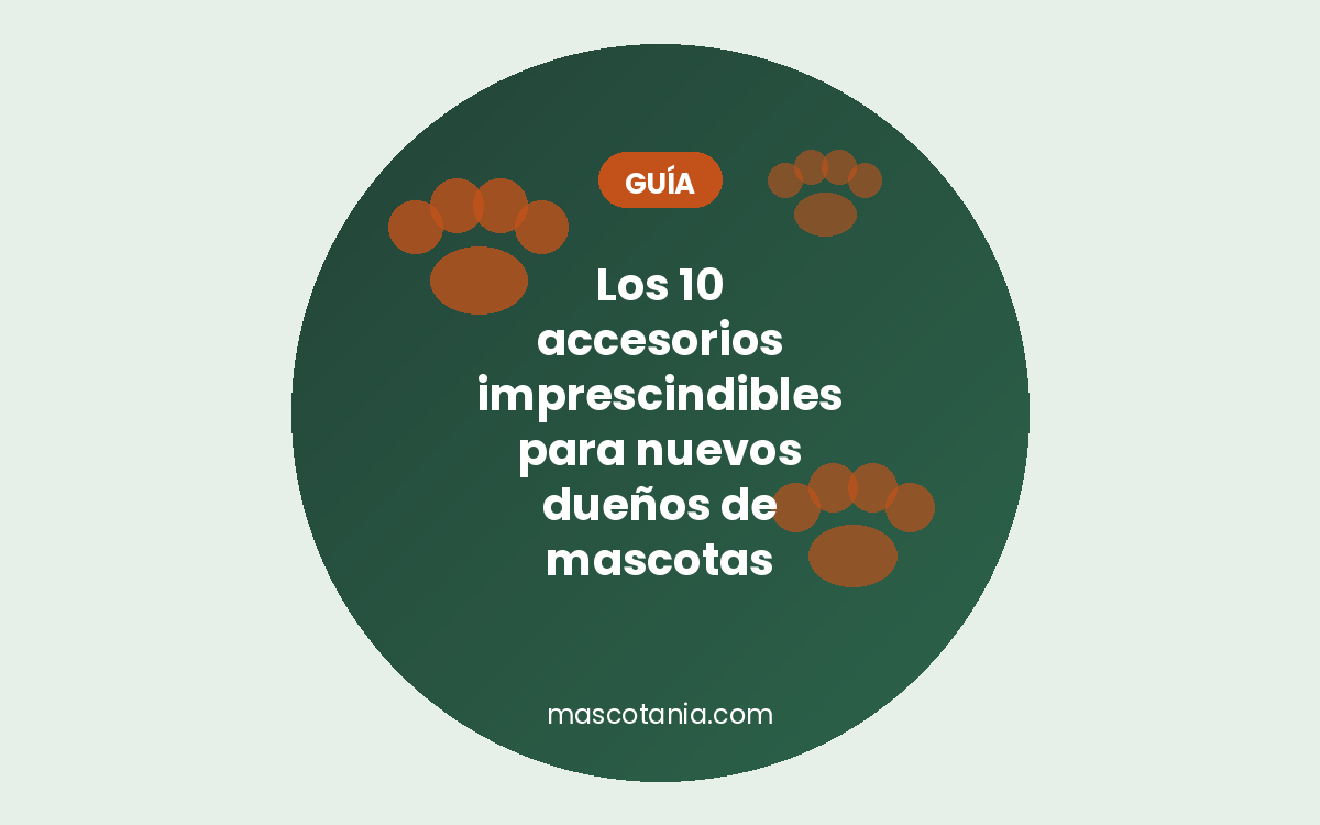 10 accesorios imprescindibles