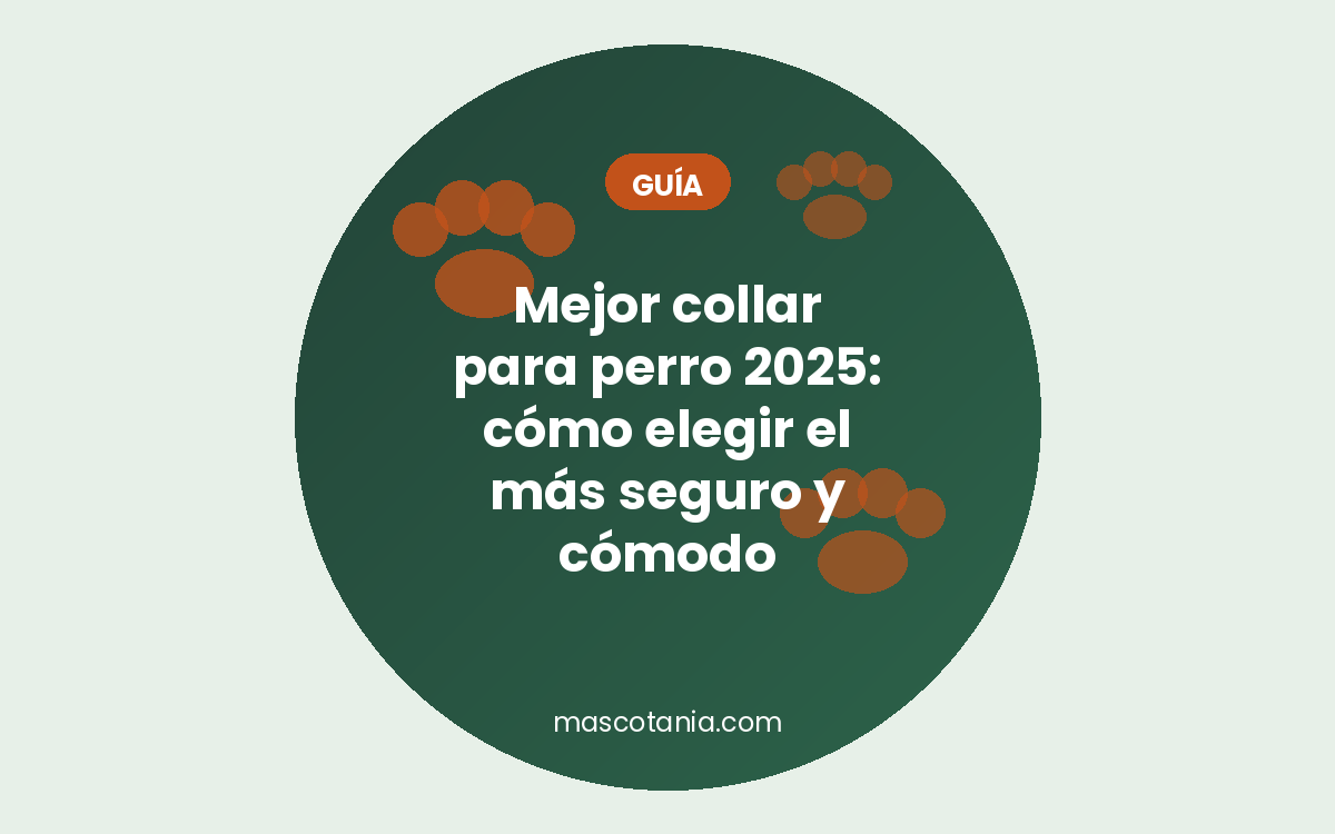 Mejor collar para perro