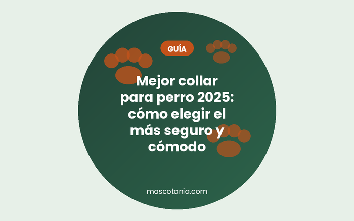 Mejor collar para perro