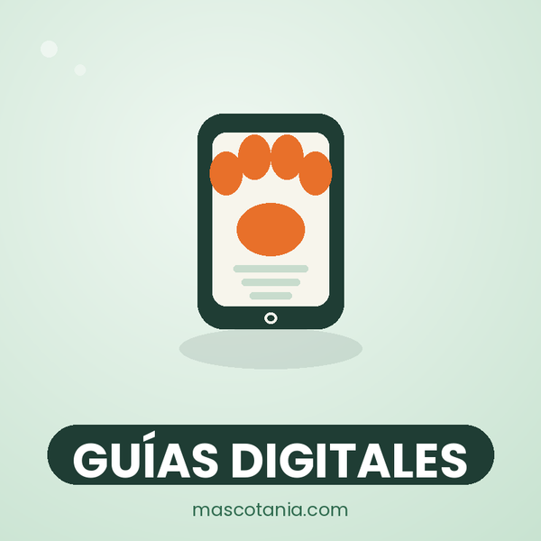 Contenido Digital