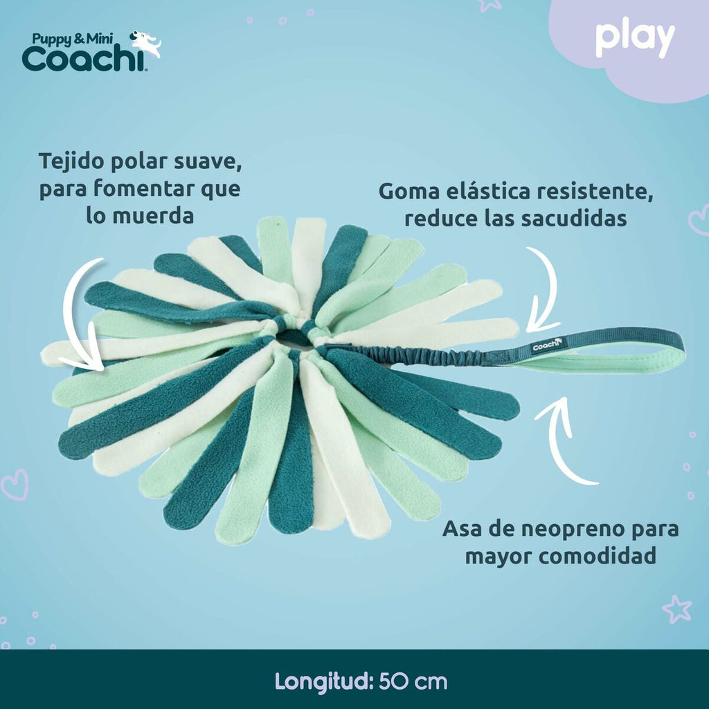 Juguete para perros Coachi Puppy & Mini Tuggi Spider Verde