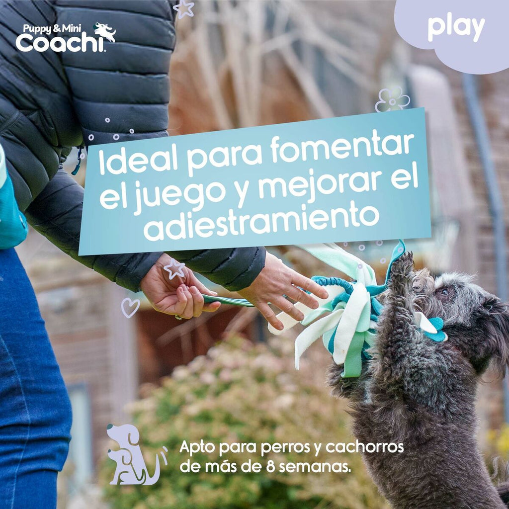 Juguete para perros Coachi Puppy & Mini Tuggi Spider Verde