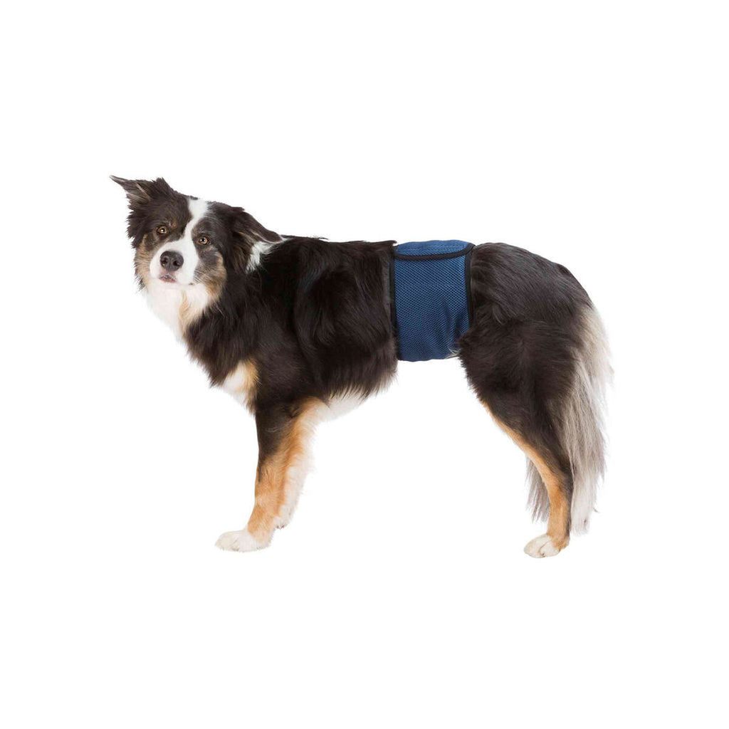 Protector para Incontinencia Trixie Macho