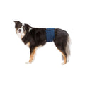 Protector para Incontinencia Trixie Macho