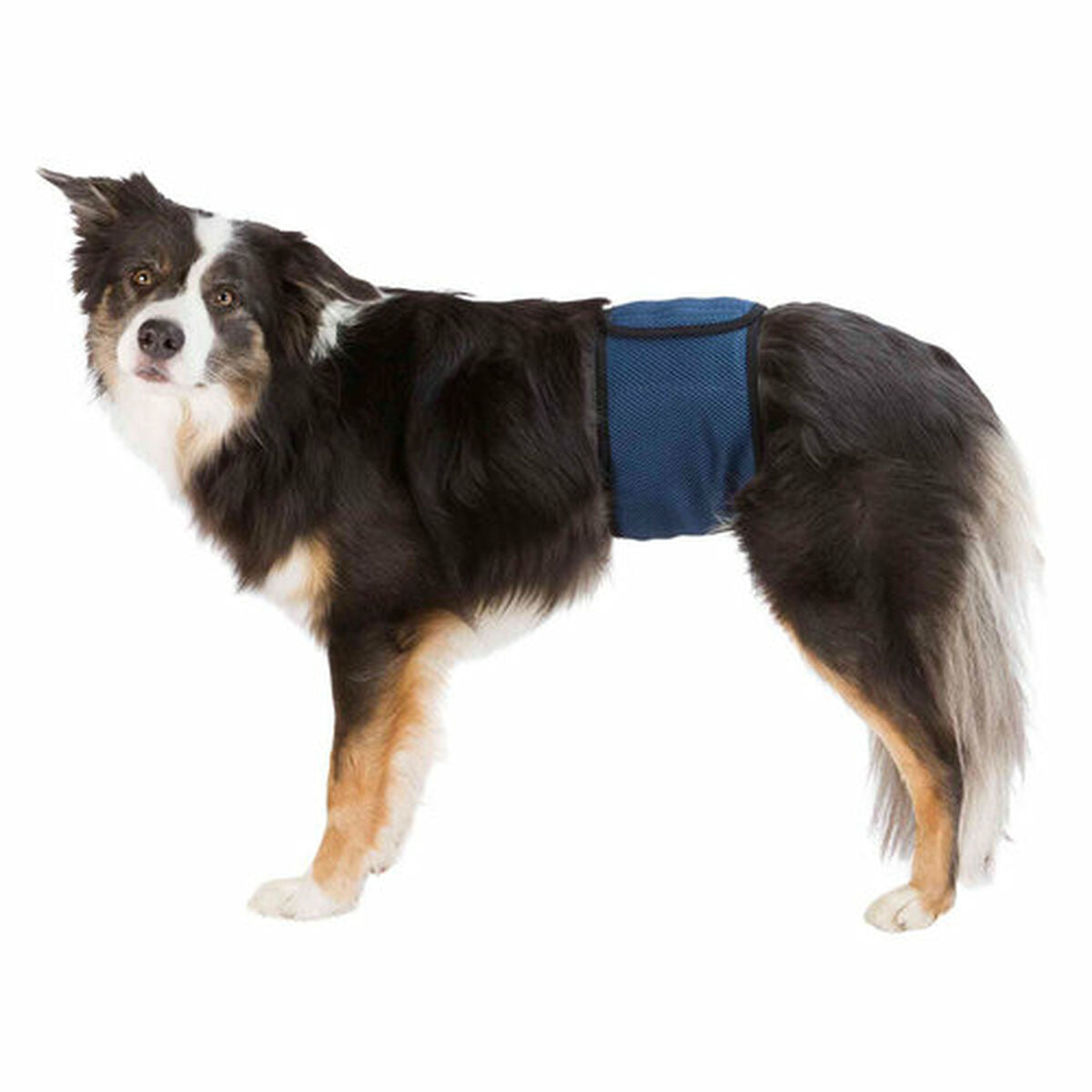 Protector para Incontinencia Trixie Macho