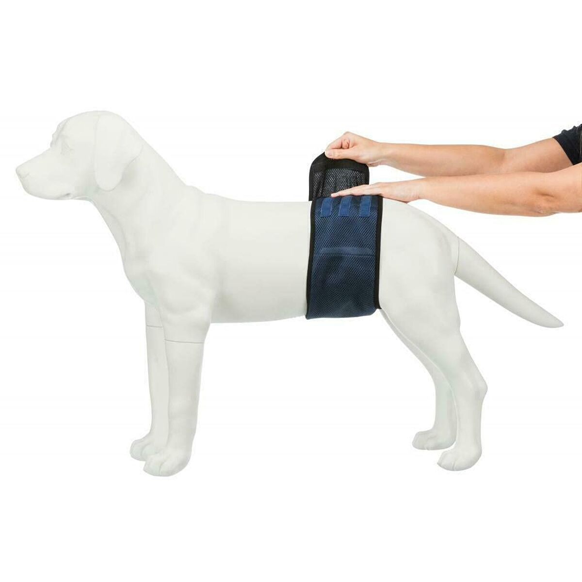 Protector para Incontinencia Trixie Macho