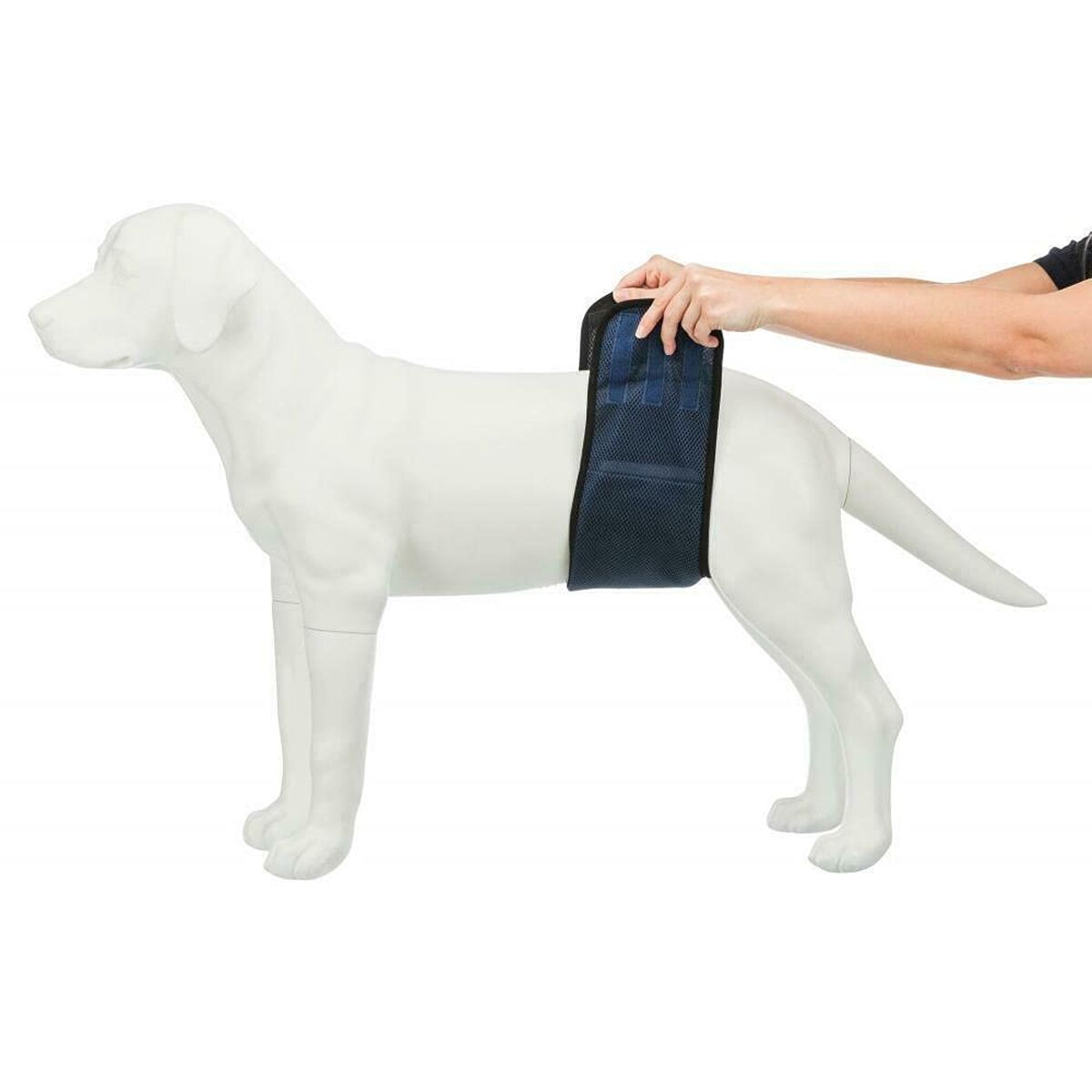 Protector para Incontinencia Trixie Macho